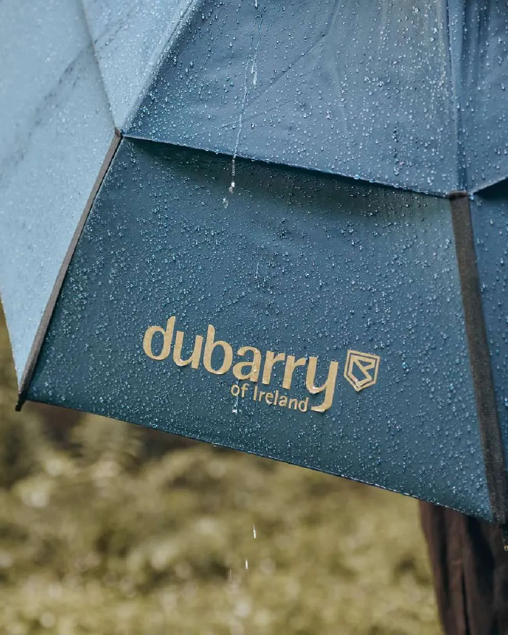 Dubarry Umbrella