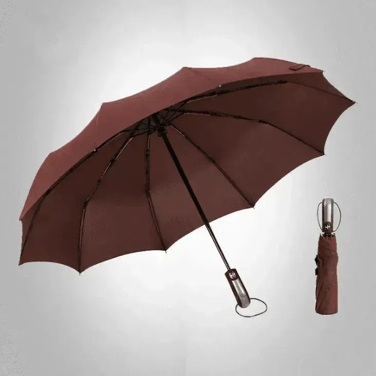 Windproof Auto Luxury Umbrella for Rain, Black Coating